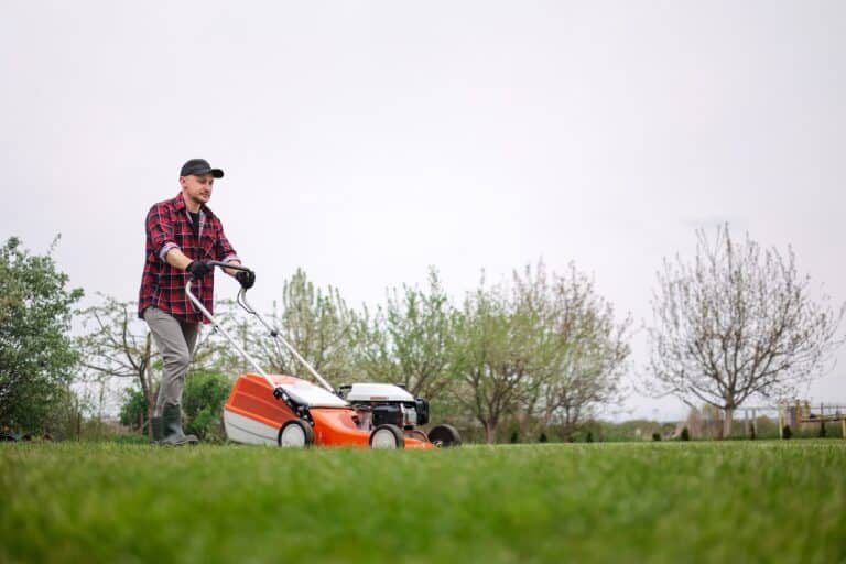 man mowing his backyard with push lawn mower